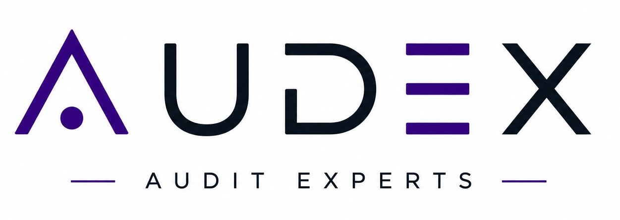 AUDEX Audit Experts